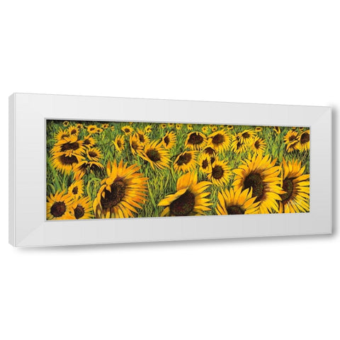 Girasoli Gialli I White Modern Wood Framed Art Print by Borelli, Guido