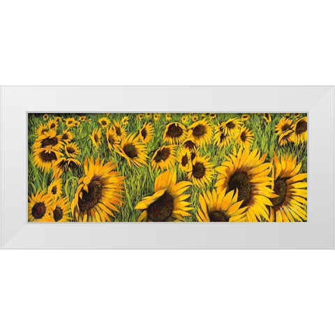 Girasoli Gialli I White Modern Wood Framed Art Print by Borelli, Guido