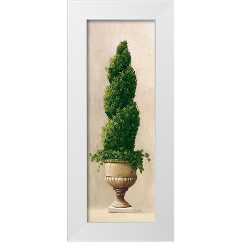 Roman Topiary I White Modern Wood Framed Art Print by Welby