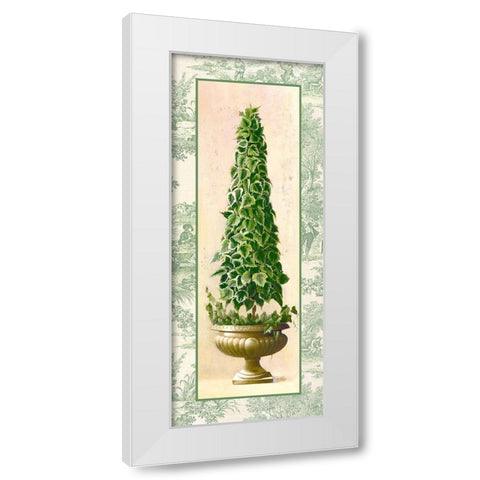 Ivy Topiary I White Modern Wood Framed Art Print by Welby