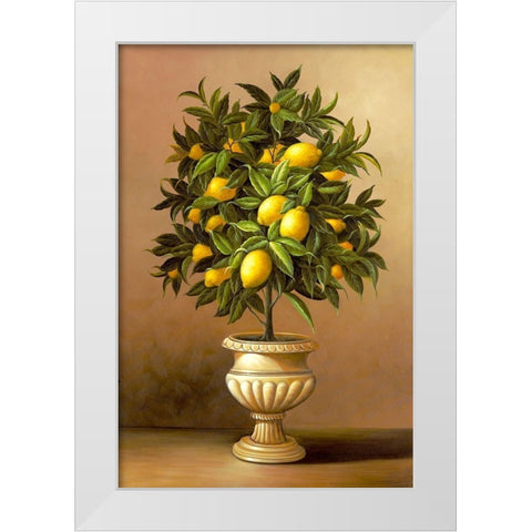 Potted Lemon Tree White Modern Wood Framed Art Print by Welby