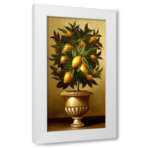 Lemon Topiary  in Marble Urn White Modern Wood Framed Art Print by Welby
