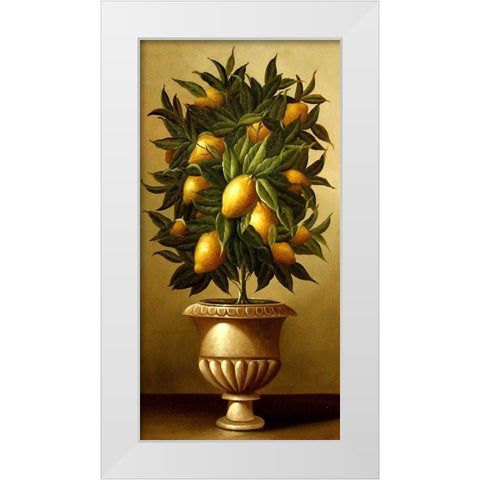 Lemon Topiary  in Marble Urn White Modern Wood Framed Art Print by Welby