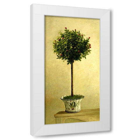Pink Rose Topiary II White Modern Wood Framed Art Print by Welby