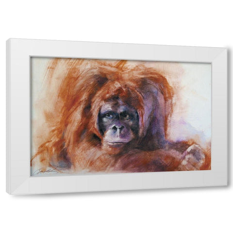 The Daydreamer Orangutan White Modern Wood Framed Art Print by Campbell, Robert