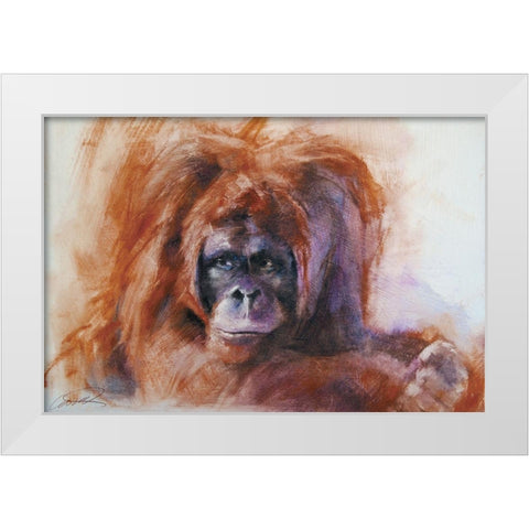 The Daydreamer Orangutan White Modern Wood Framed Art Print by Campbell, Robert