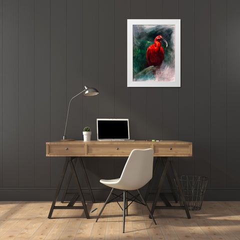 Scarlet Ibis White Modern Wood Framed Art Print by Campbell, Robert