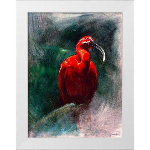 Scarlet Ibis White Modern Wood Framed Art Print by Campbell, Robert
