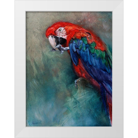 Aw Macaw White Modern Wood Framed Art Print by Campbell, Robert