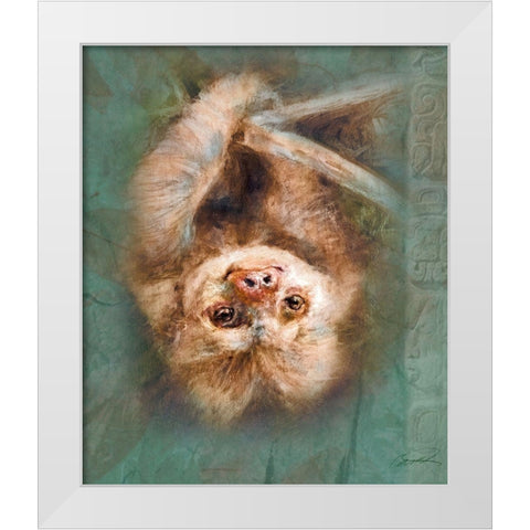 Two-Toed Sloth White Modern Wood Framed Art Print by Campbell, Robert
