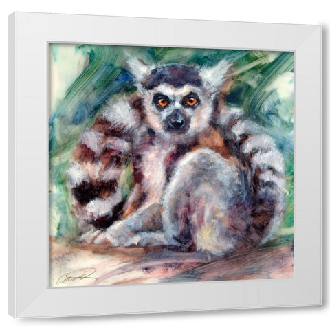 Ring Tailed Lemur White Modern Wood Framed Art Print by Campbell, Robert