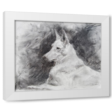 White Shepherd in Grey White Modern Wood Framed Art Print by Campbell, Robert