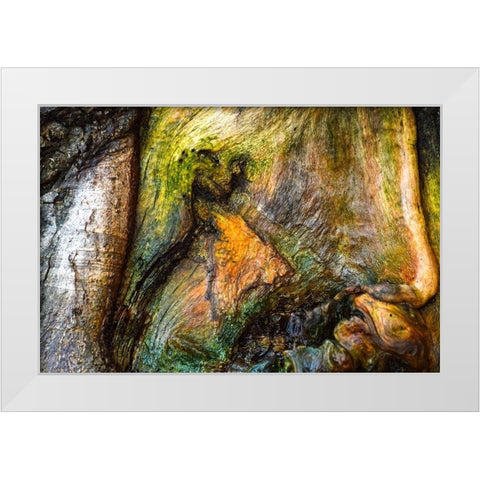 Dionysus White Modern Wood Framed Art Print by Cooper, Helena
