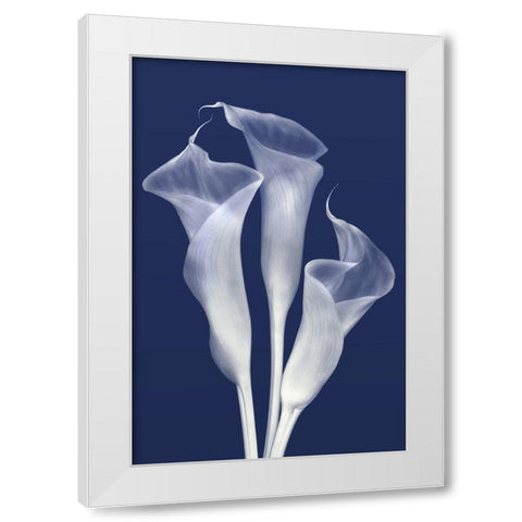 Sentinels of Light in Indigo White Modern Wood Framed Art Print by Robertson, Leda