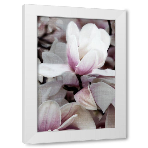 Petal Heaven I White Modern Wood Framed Art Print by Robertson, Leda