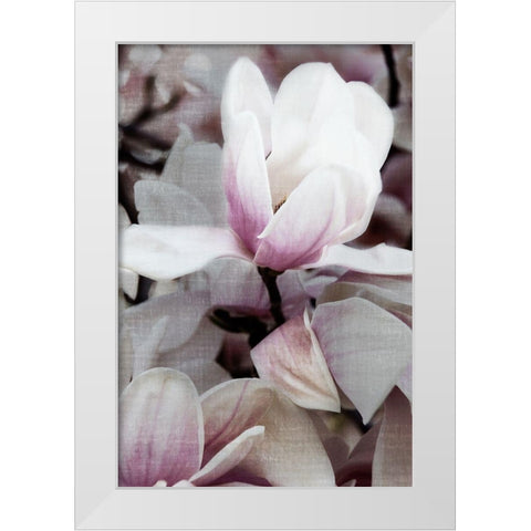 Petal Heaven I White Modern Wood Framed Art Print by Robertson, Leda