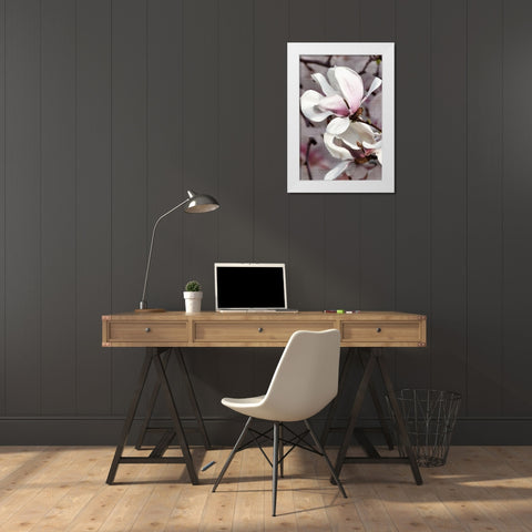 Petal Heaven II White Modern Wood Framed Art Print by Robertson, Leda