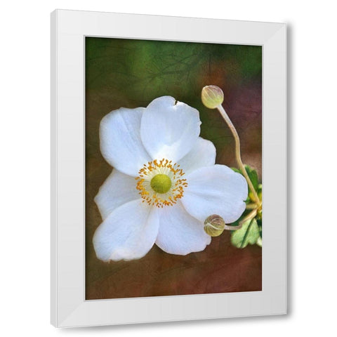 Playful Petals II White Modern Wood Framed Art Print by Robertson, Leda