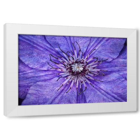 Inner Workings I White Modern Wood Framed Art Print by Robertson, Leda