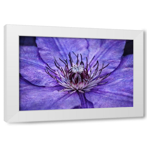 Inner Workings II White Modern Wood Framed Art Print by Robertson, Leda