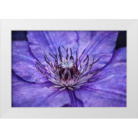 Inner Workings II White Modern Wood Framed Art Print by Robertson, Leda