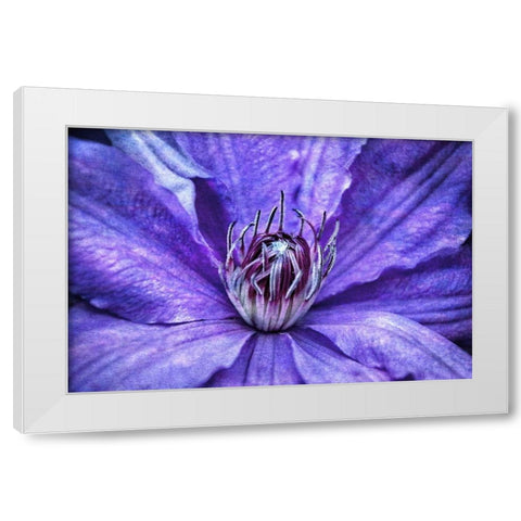 Intimate Unfolding White Modern Wood Framed Art Print by Robertson, Leda