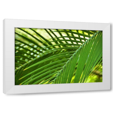 Leaf Abstraction II White Modern Wood Framed Art Print by Robertson, Leda