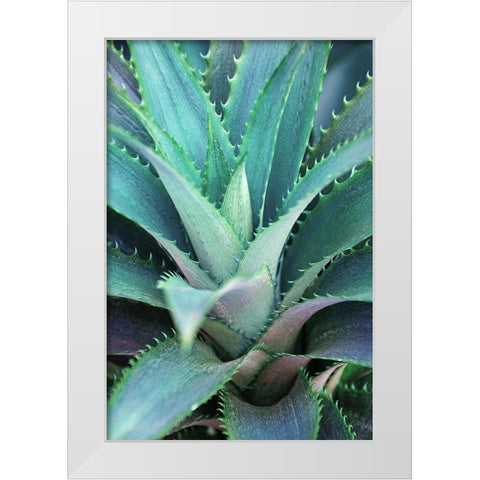 Spiny Succulent II White Modern Wood Framed Art Print by Robertson, Leda