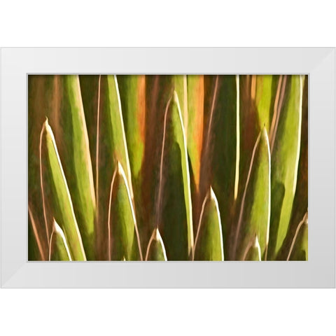 Desert Growth White Modern Wood Framed Art Print by Robertson, Leda