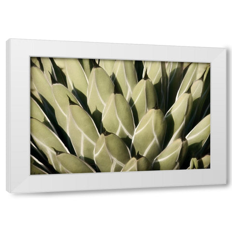 Geometric Growth White Modern Wood Framed Art Print by Robertson, Leda