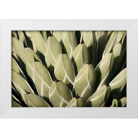 Geometric Growth White Modern Wood Framed Art Print by Robertson, Leda