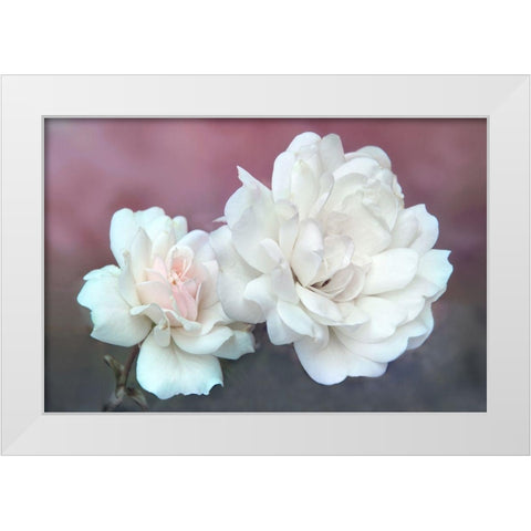 Wild About Roses White Modern Wood Framed Art Print by Robertson, Leda
