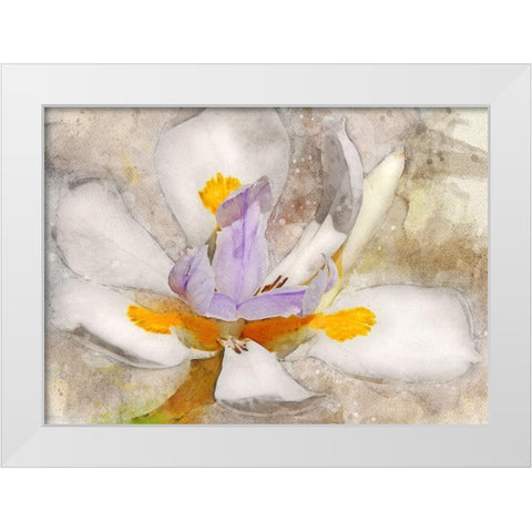 Blooming into Abstraction White Modern Wood Framed Art Print by Robertson, Leda