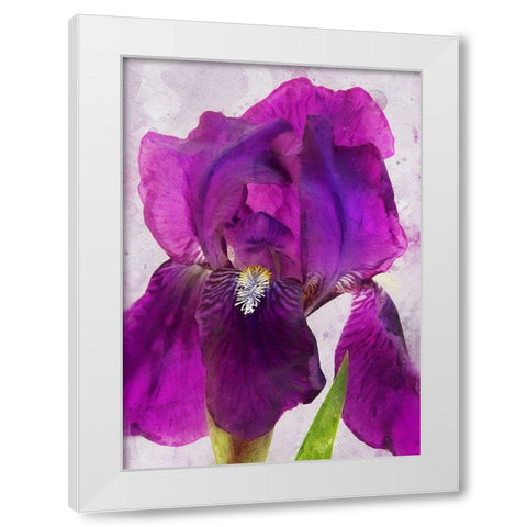 Natures Disarray White Modern Wood Framed Art Print by Robertson, Leda