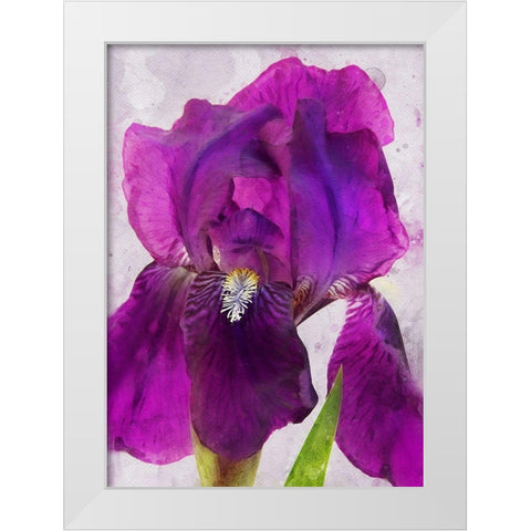 Natures Disarray White Modern Wood Framed Art Print by Robertson, Leda