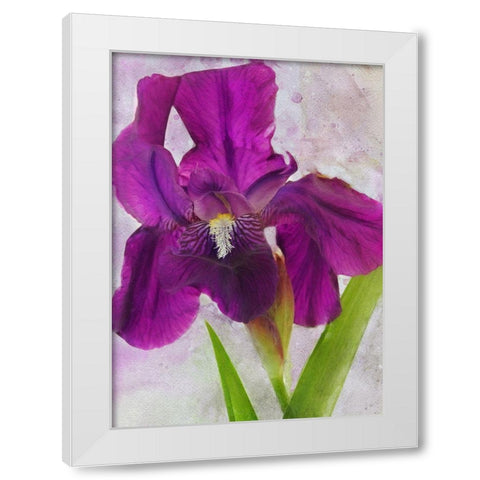 Easy Beauty White Modern Wood Framed Art Print by Robertson, Leda