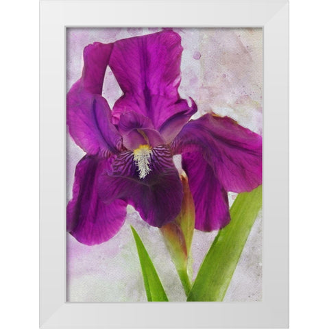 Easy Beauty White Modern Wood Framed Art Print by Robertson, Leda