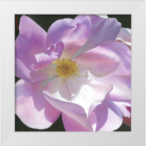 Evidence White Modern Wood Framed Art Print by Montana, Enzo