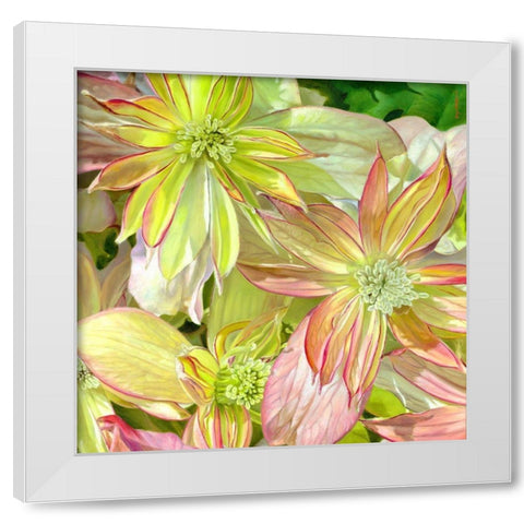 Come Fly With Me White Modern Wood Framed Art Print by Montana, Enzo