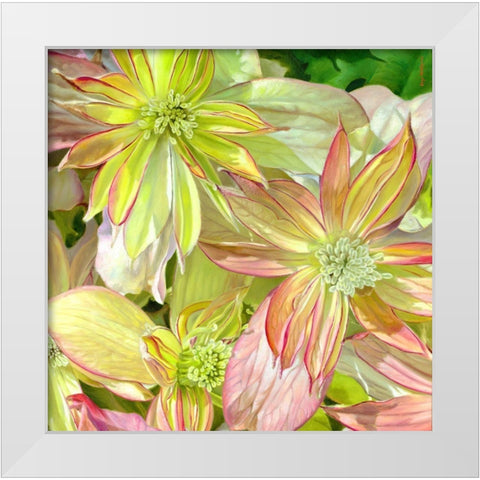 Come Fly With Me White Modern Wood Framed Art Print by Montana, Enzo