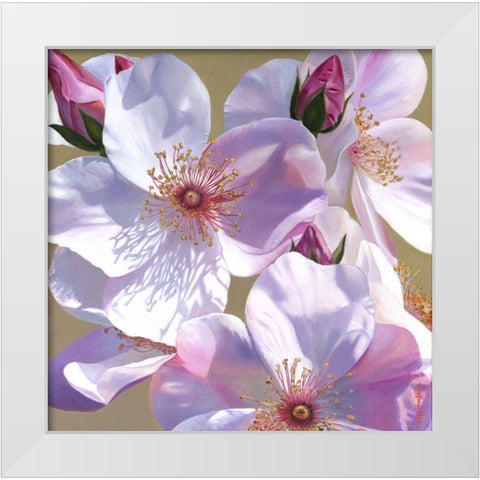 Fascination White Modern Wood Framed Art Print by Montana, Enzo