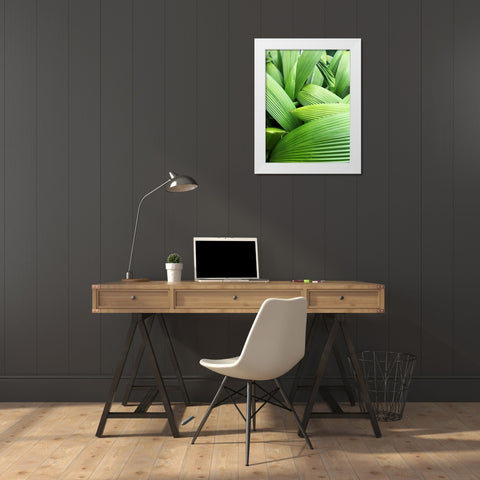 Monster Leaves I White Modern Wood Framed Art Print by Orlov, Irena