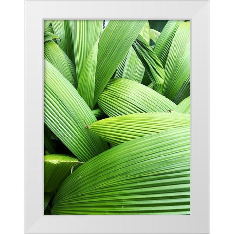 Monster Leaves I White Modern Wood Framed Art Print by Orlov, Irena