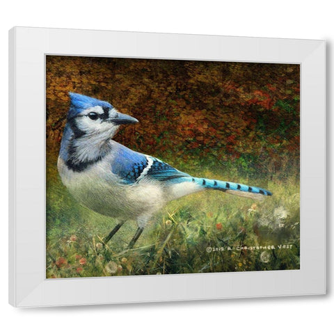Bluejay Yard White Modern Wood Framed Art Print by Vest, Christopher