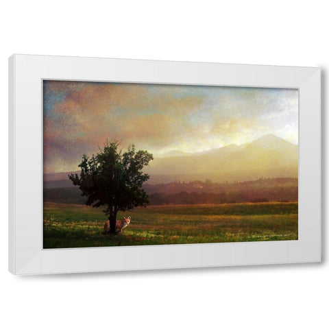 Tuscan Dawn Fox White Modern Wood Framed Art Print by Vest, Christopher