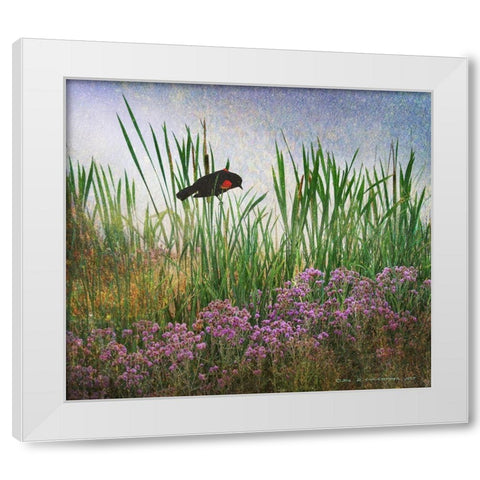 Redwing in Cattail White Modern Wood Framed Art Print by Vest, Christopher