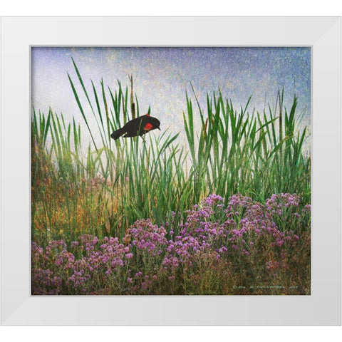 Redwing in Cattail White Modern Wood Framed Art Print by Vest, Christopher