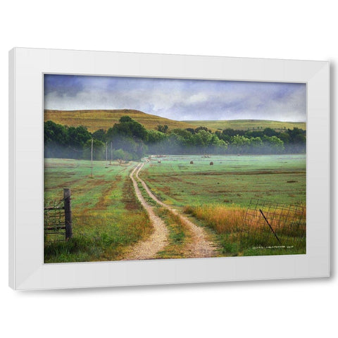 Tallgrass Road Hills and Hay Fields White Modern Wood Framed Art Print by Vest, Christopher