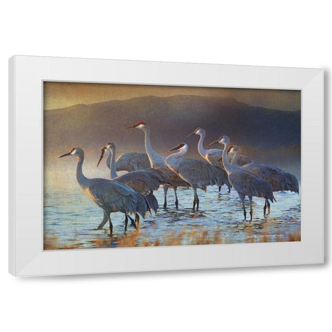 Bosque Dawn Cranes White Modern Wood Framed Art Print by Vest, Christopher