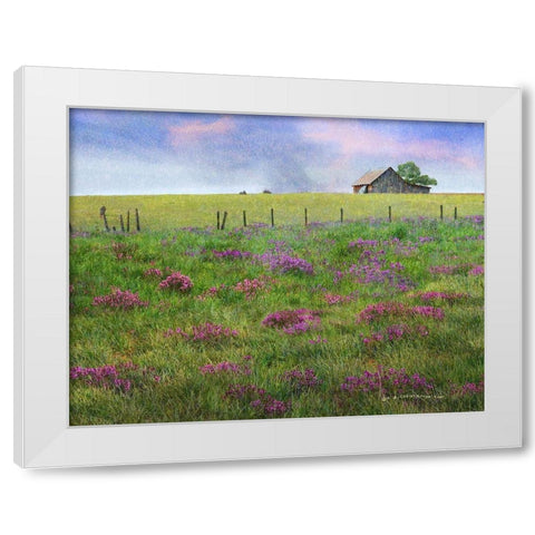 Barn Locoweed White Modern Wood Framed Art Print by Vest, Christopher